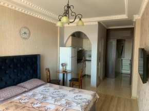 BerApartment with Mountain View